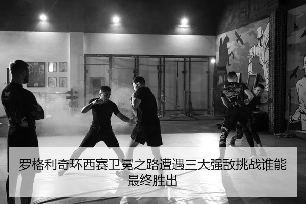 luo-ge-li-qi-huan-xi-sai-wei-mian-zhi-lu-zao-yu-san-da-qiang-di-tiao-zhan-shui-neng-zui-zhong-sheng-chu-2-963.jpg